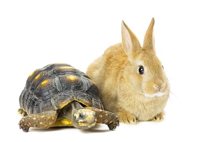 Fast vs. Slow Purchase Decisions: When to Use Inbound Marketing